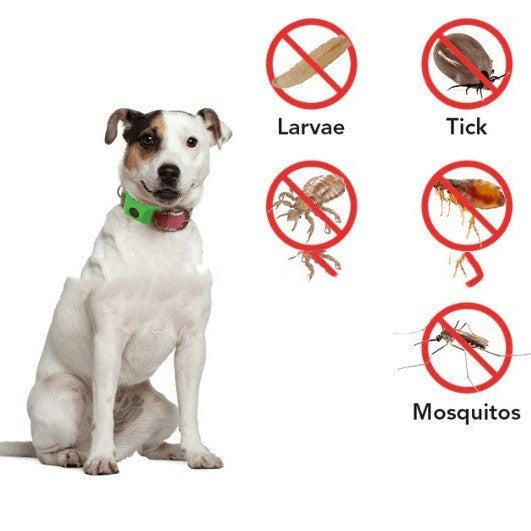 PetFolk Oil Clip — Natural Flea & Tick Repellent Attachment, Essential Oil Refill, 12-Month Protection